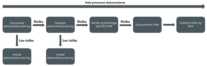 Dokumentasjon av prosess