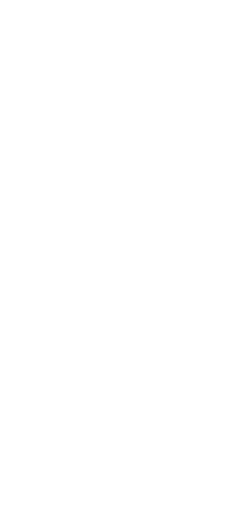We-Vibe