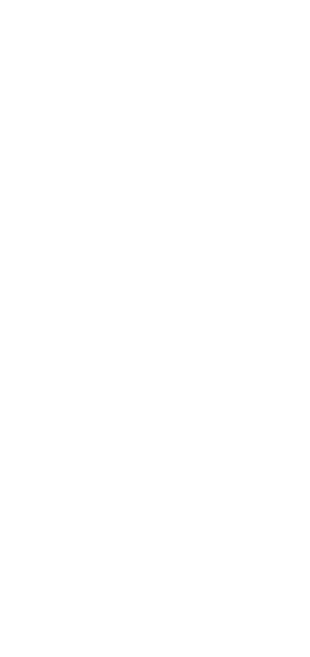 Womanizer
